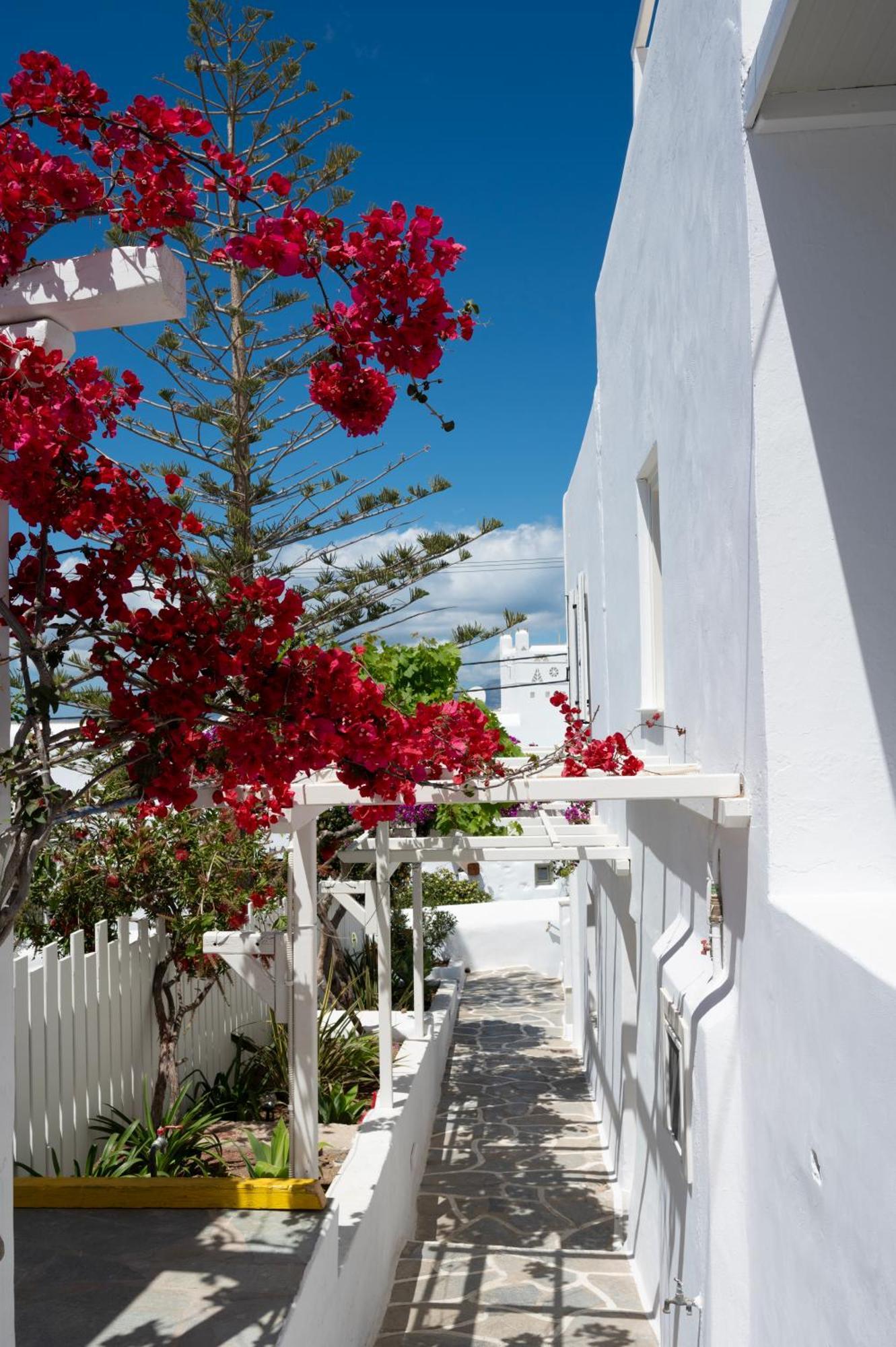 Boutique Di Vito Hotel Mykonos Town Exterior photo