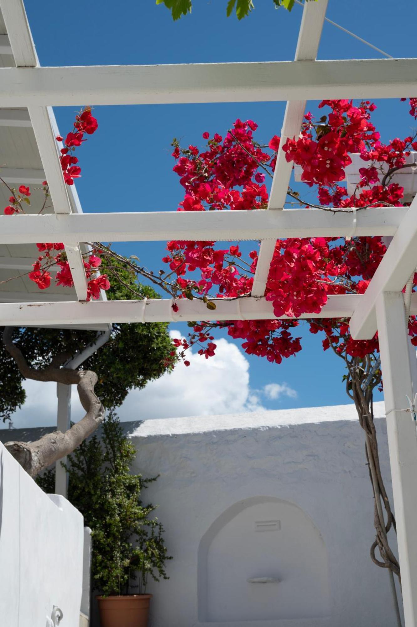 Boutique Di Vito Hotel Mykonos Town Exterior photo