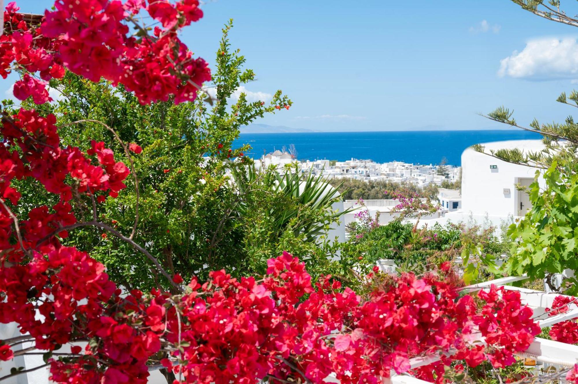 Boutique Di Vito Hotel Mykonos Town Exterior photo